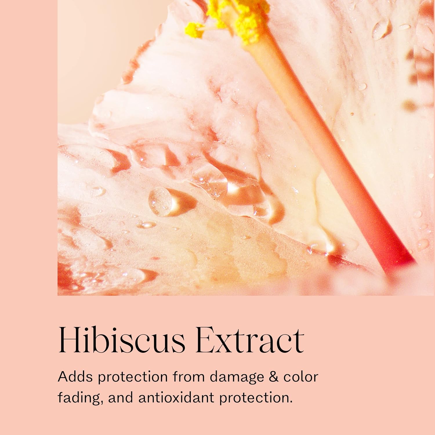 JVN Complete Nourishing Shine Drops, 1.7 Fl Oz, Frizz Fighting, Hair Smoothing Oil for Shine and Strength, Hair Care for Women and Men, Silicone Free - Image 8