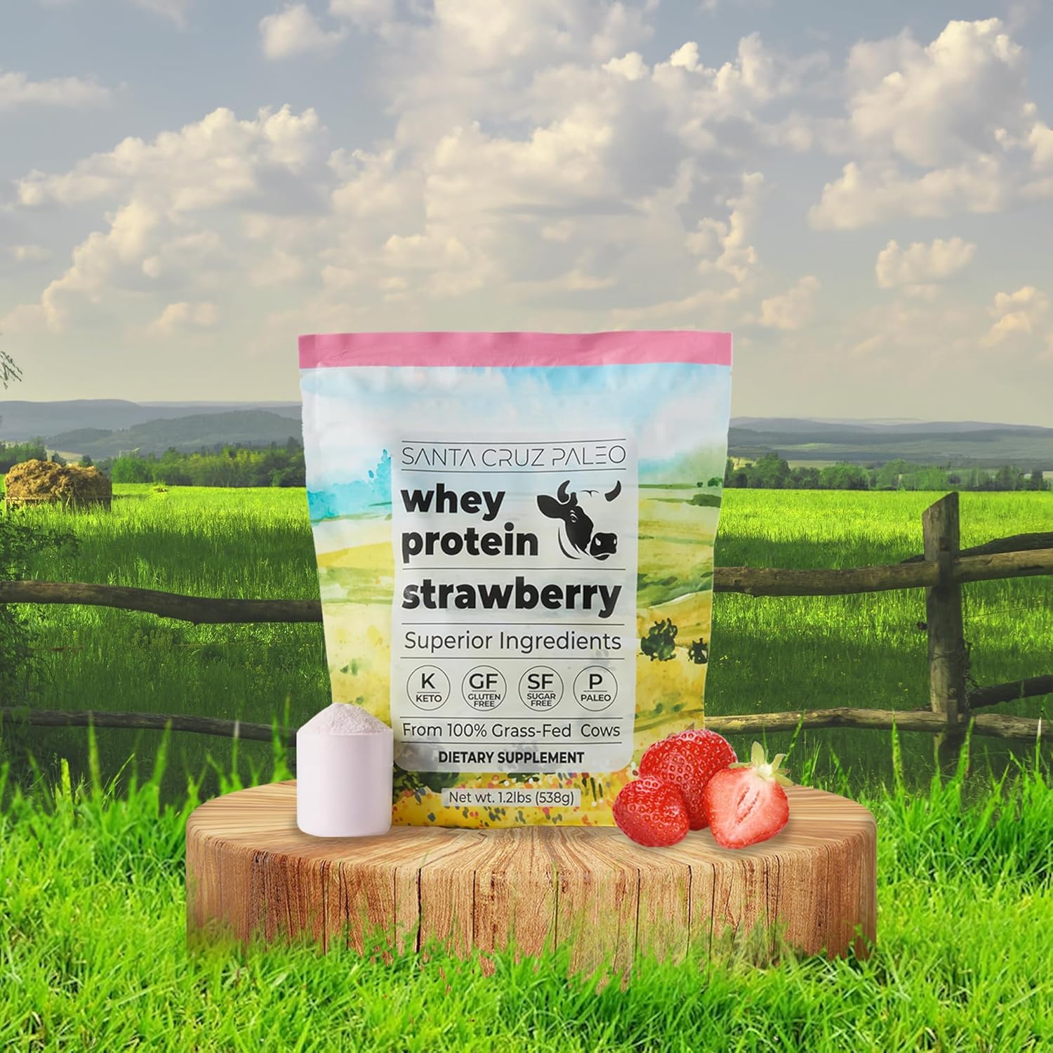 Santa Cruz Paleo Whey Protein Powder, Strawberry, 20g Grass Fed Whey Protein Isolate Per Serving, Gluten Free, Keto, Sugar Free, Paleo, Natural, Post Workout Muscle Support, 20 Servings, 1.2lb Bag - Image 8