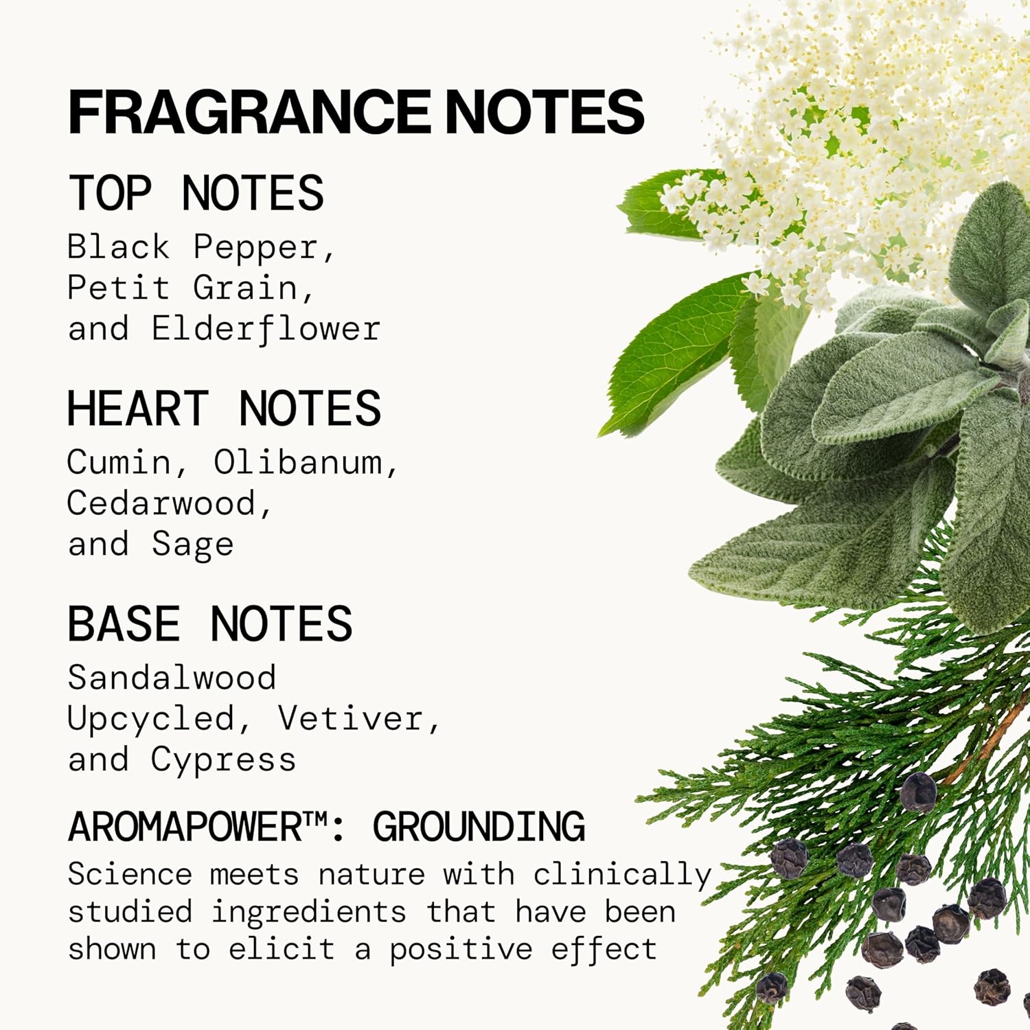 Pacifica Hair Mist Perfume & Full Body Spray for Women - Montana Sky Body Mist Fragrance w/Cedarwood, Elderflower, Black Pepper, Sage & Sandalwood Clean Beauty Alcohol-Free, Vegan & Cruelty-Free 5 oz | for Women, Clean Beauty, Alcohol-Free, Vegan, Cruelty-Free - Image 6