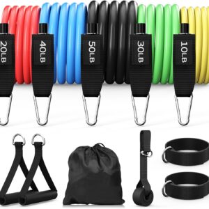 Resistance Bands, Exercise Bands Set for Working Out, Resistance Bands with Handles, Home Gym Workout Bands, Fitness Equipment for Men and Women Strength Training