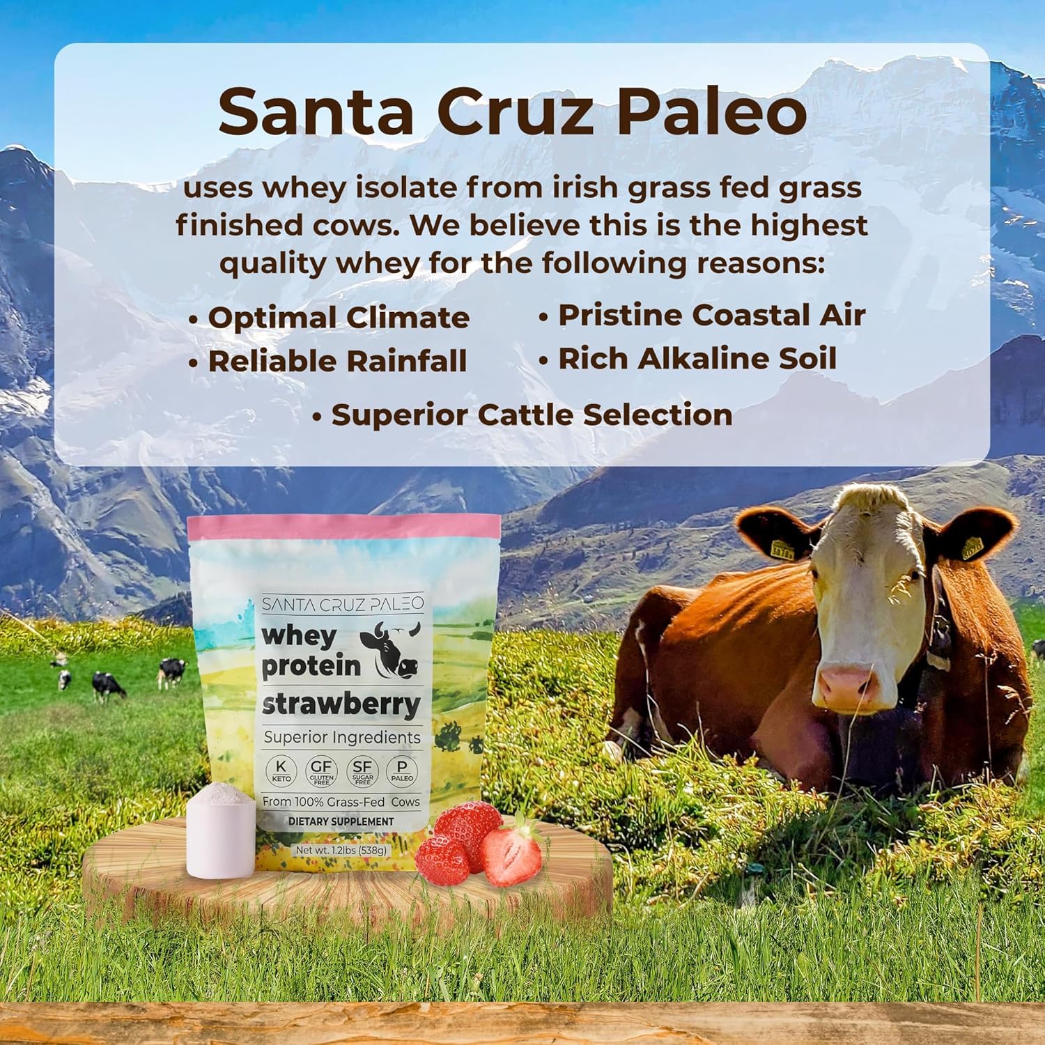Santa Cruz Paleo Whey Protein Powder, Strawberry, 20g Grass Fed Whey Protein Isolate Per Serving, Gluten Free, Keto, Sugar Free, Paleo, Natural, Post Workout Muscle Support, 20 Servings, 1.2lb Bag - Image 3