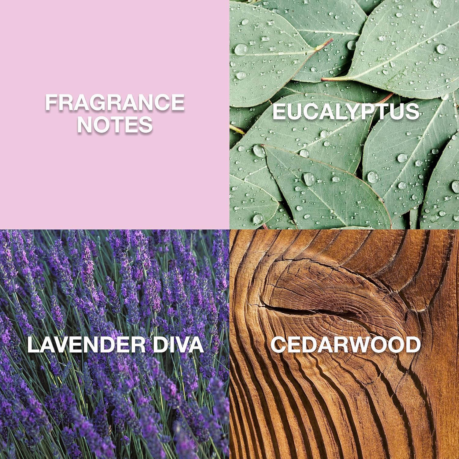 LUCKY Brand Re/Lax The New Sustainably-Inspired & Tranquil Unisex Fine Fragrance Mist For Women & Men, 8.0 Fl Oz (Pack of 1) - Image 2