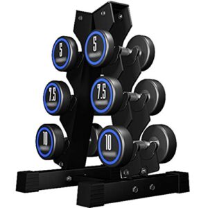 LAYUON Dumbbells Fitness Dumbbell Set,Household Rubber Coated Steel Dumbbells,Gym Dedicated Dumbbells,Sports Fitness Equipment,Dumbbell Storage Rack