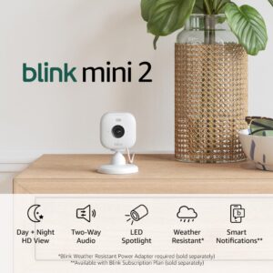 Blink Mini 2 — Home Security & Pet Camera with HD video, color night view, motion detection, two-way audio, and built-in spotlight — 1 camera (White)